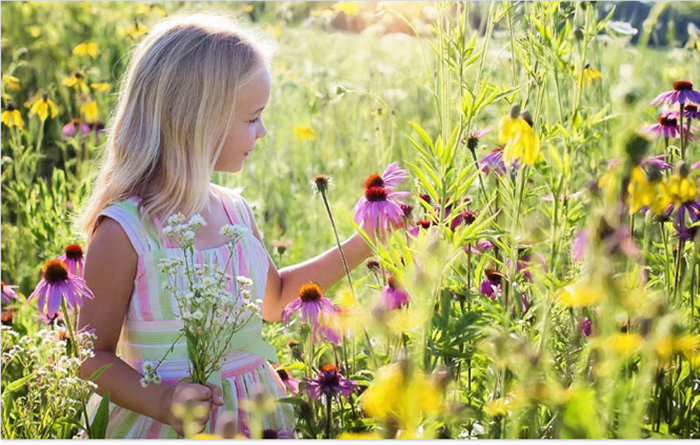 Источник фото - сайт pixabay.com