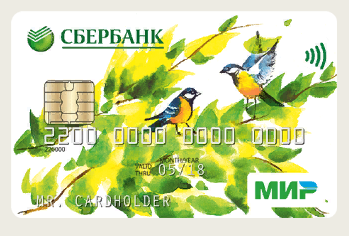 скриншот автора