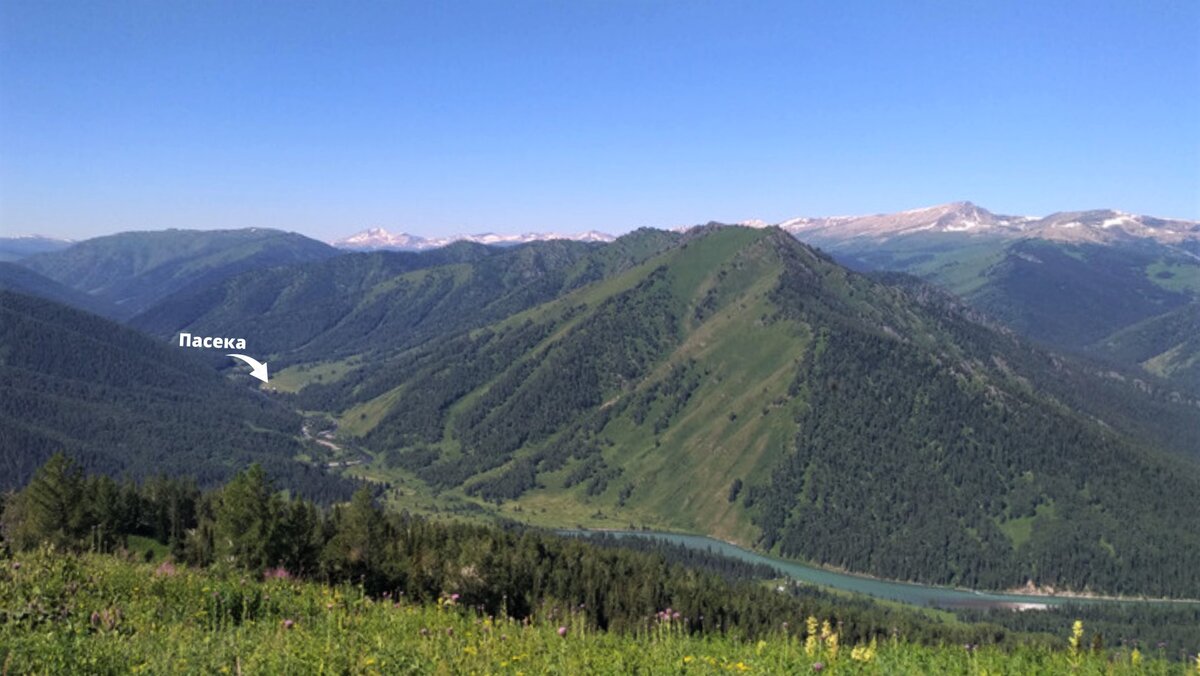 Стрелкой показано место, где находится моя пасека.