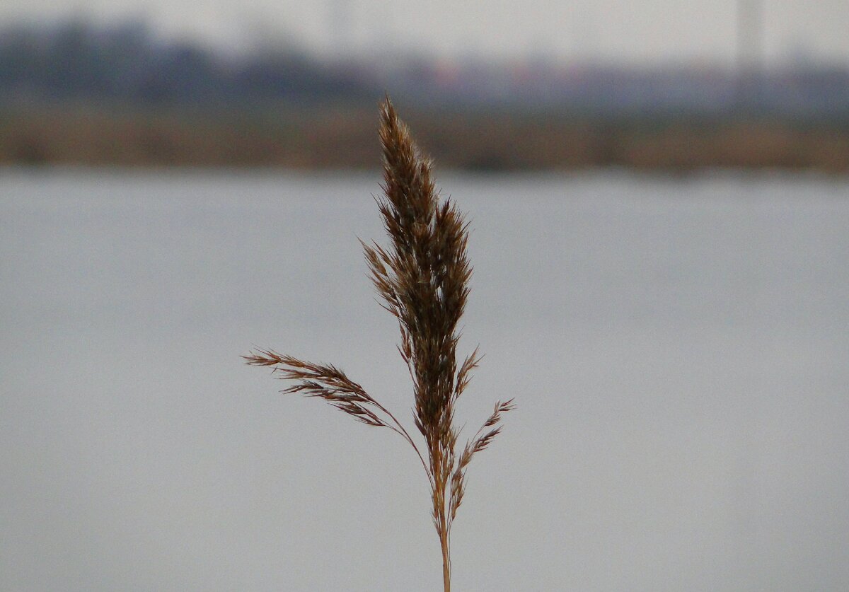Временами был практически полный штиль, ловить в таких условиях легким джигом - одно наслаждение, да и контроль за снастью выше!!!