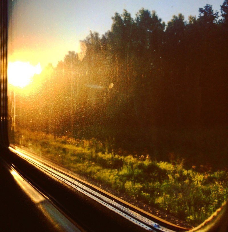 Взгляд из окна поезда. Кадр из открытого источника
