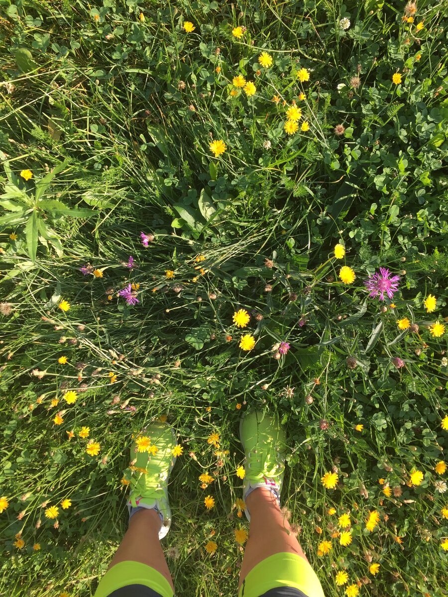 Фото сделано автором. 