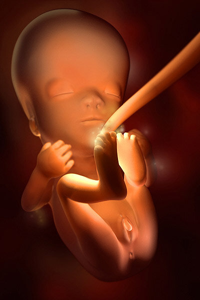 10 неделя беременности - признаки и ощущения женщины, фото животиков, развитие плода - Дети вторсырье-м.рф