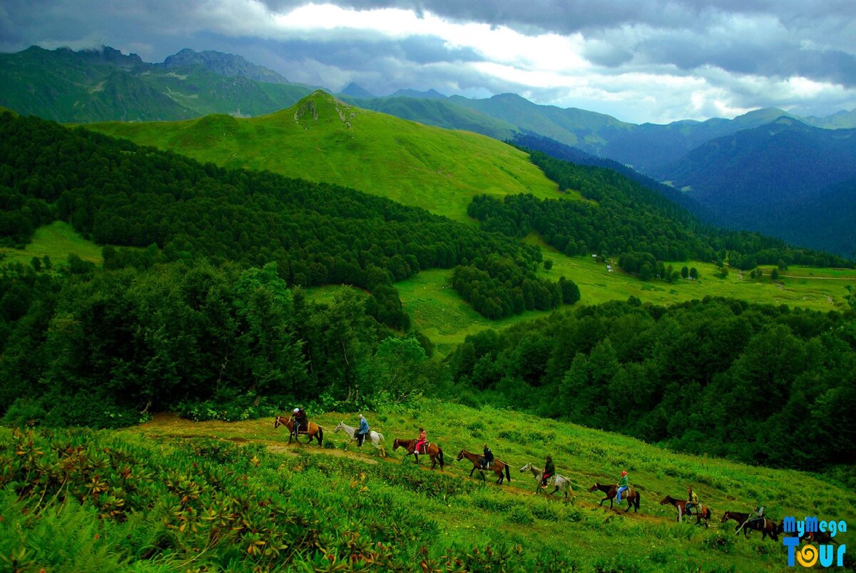 Абхазия, природа
