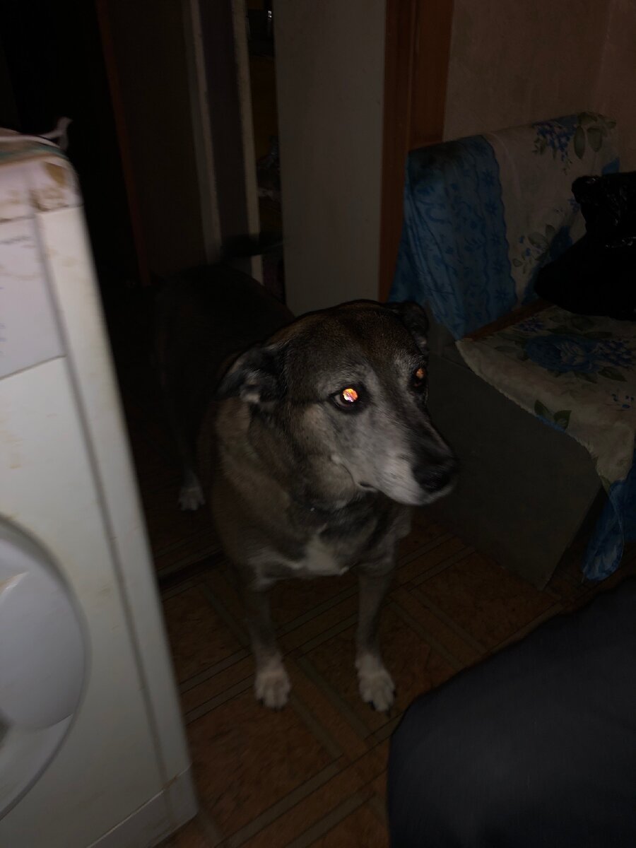 Собираемся в дорогу