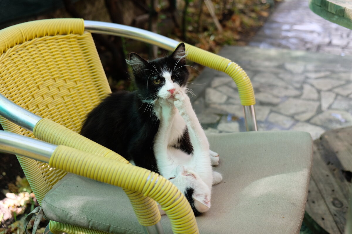 Один из этих засранцев однажды собрался провести ночь с нами в комнате - увязался за нами, но не был пущен в номер