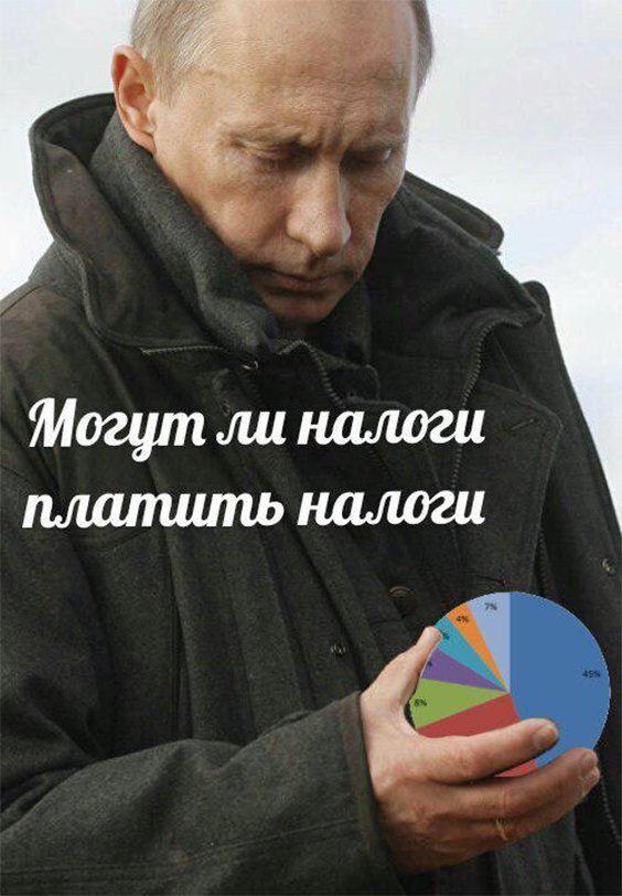 Фото с сайта: https://meduza.io/shapito/2018/01/15/mogut-li-kamni-platit-nalogi-dazhe-na-predvybornom-sayte-putina-nashlas-otsylka-k-etomu-memu