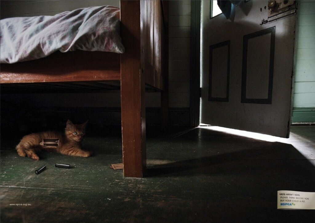 Фото с просторов интернета.