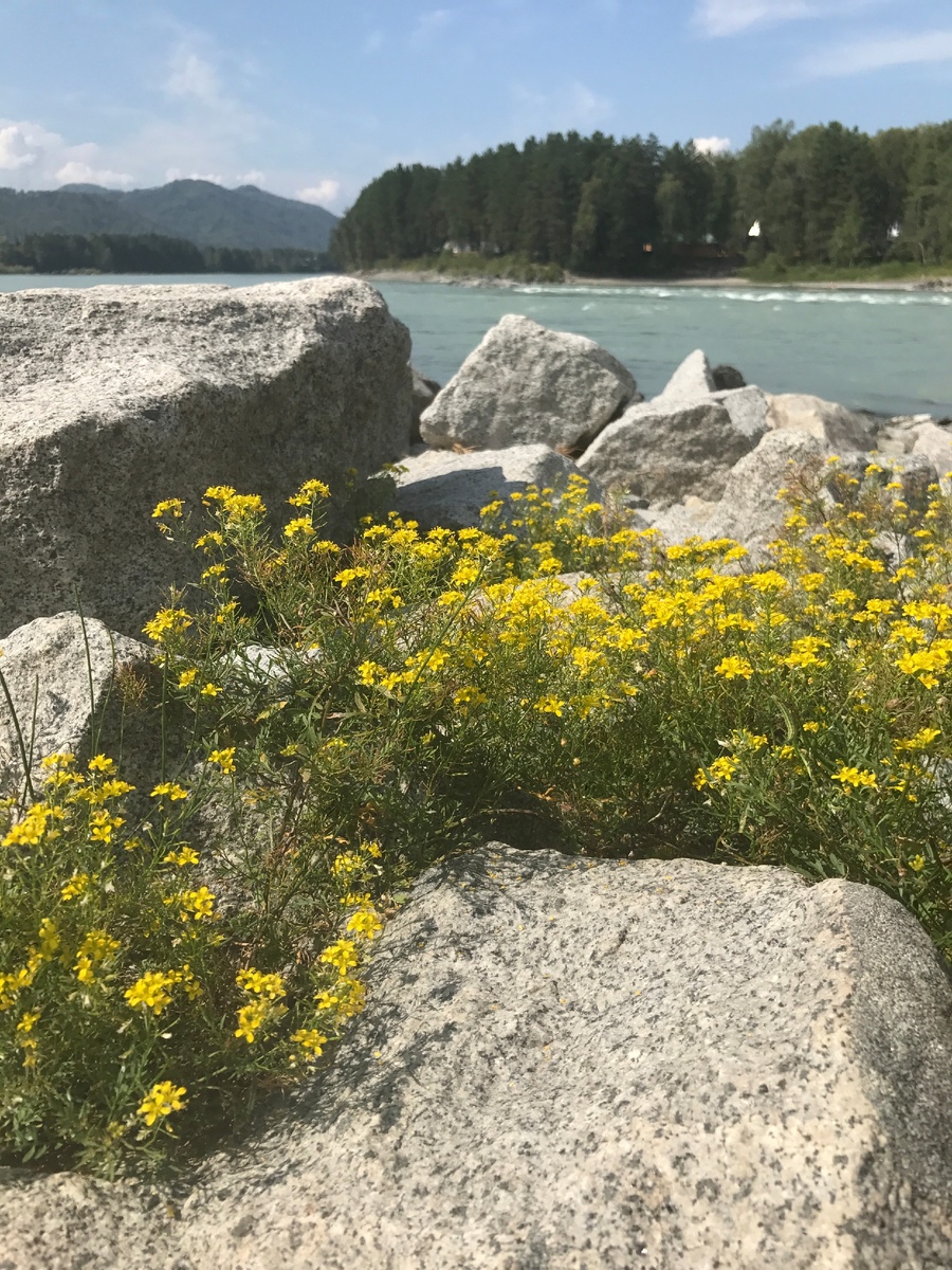 Из личного архива 