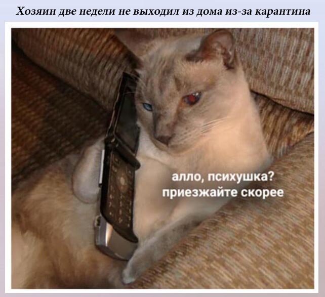 Фото из открытого доступа в авторской обработке