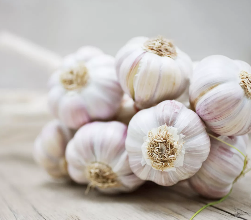 Чеснок