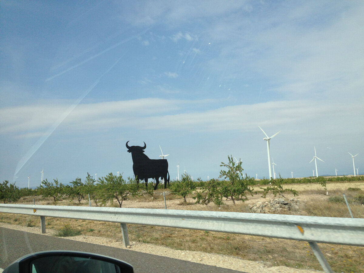 Бык Осборна