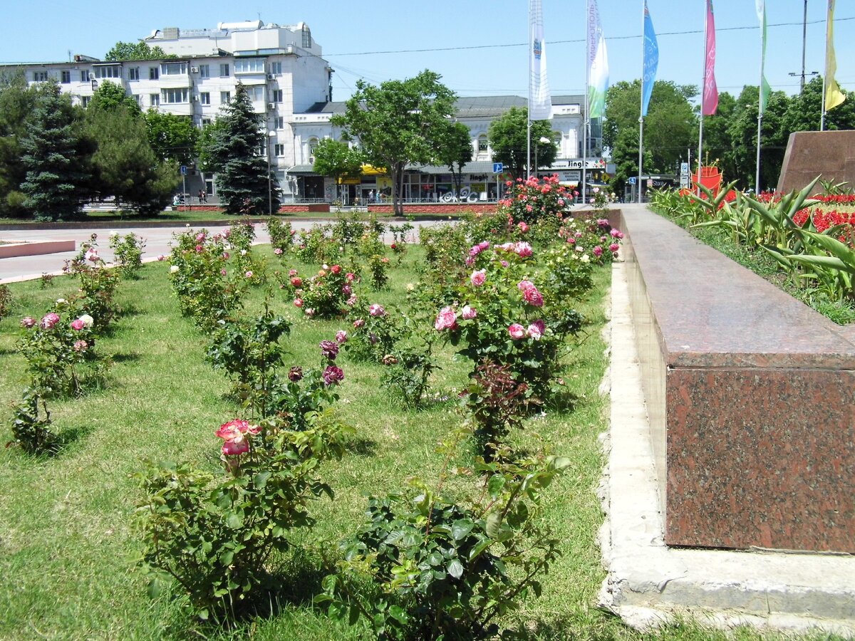 Розарий на площади Ленина. (смотри галерею)