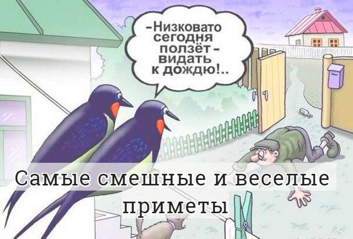 Приметы смешные картинки