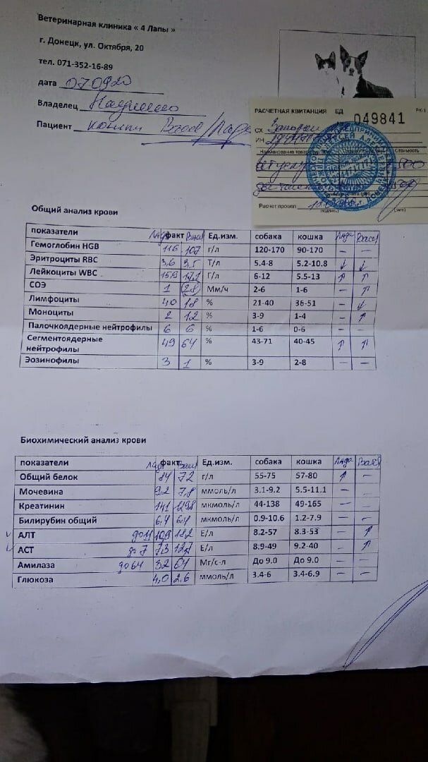 -2