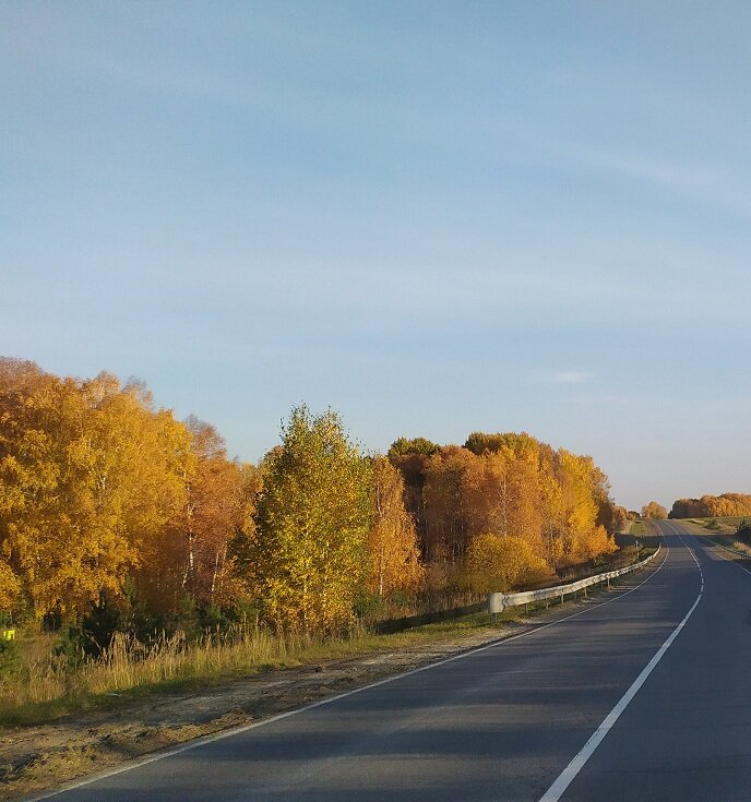 Золотая осень 01.10.2020 г.