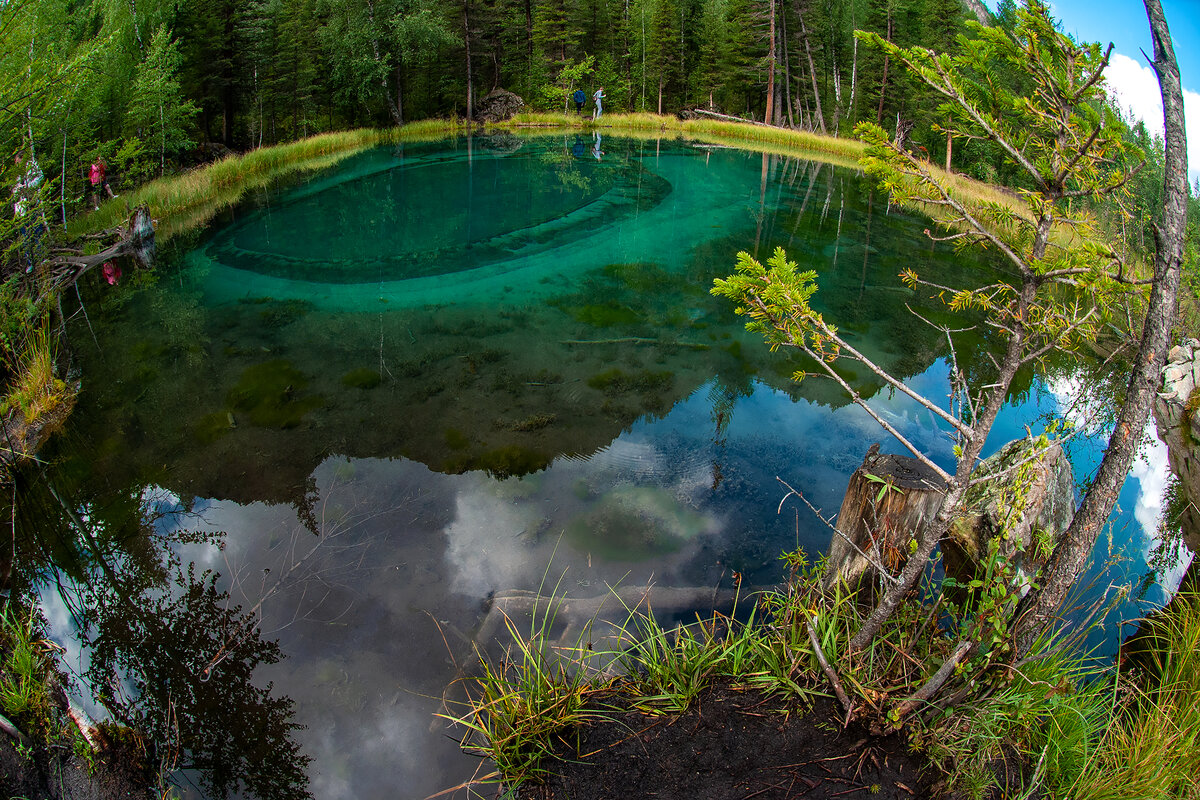 Хотите узнать о такой съёмке - ставьте лайки и мы всё расскажем!