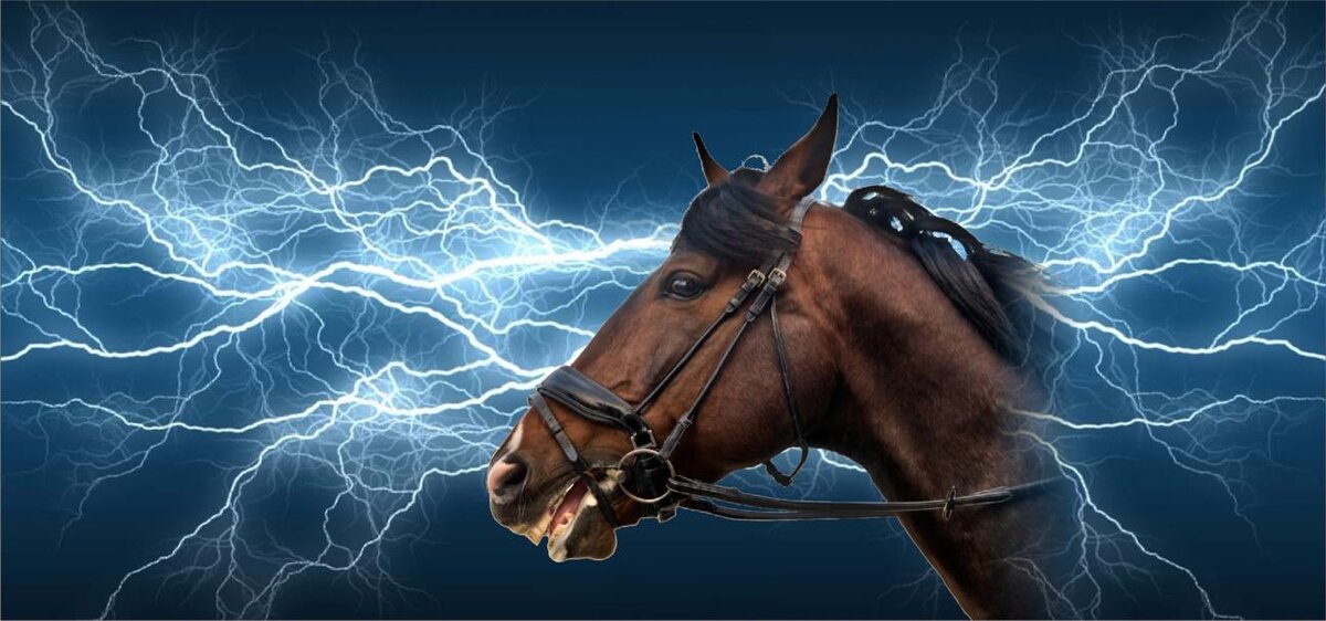 Сколько вольт опасно для лошади | Интересно о лошадях | Дзен