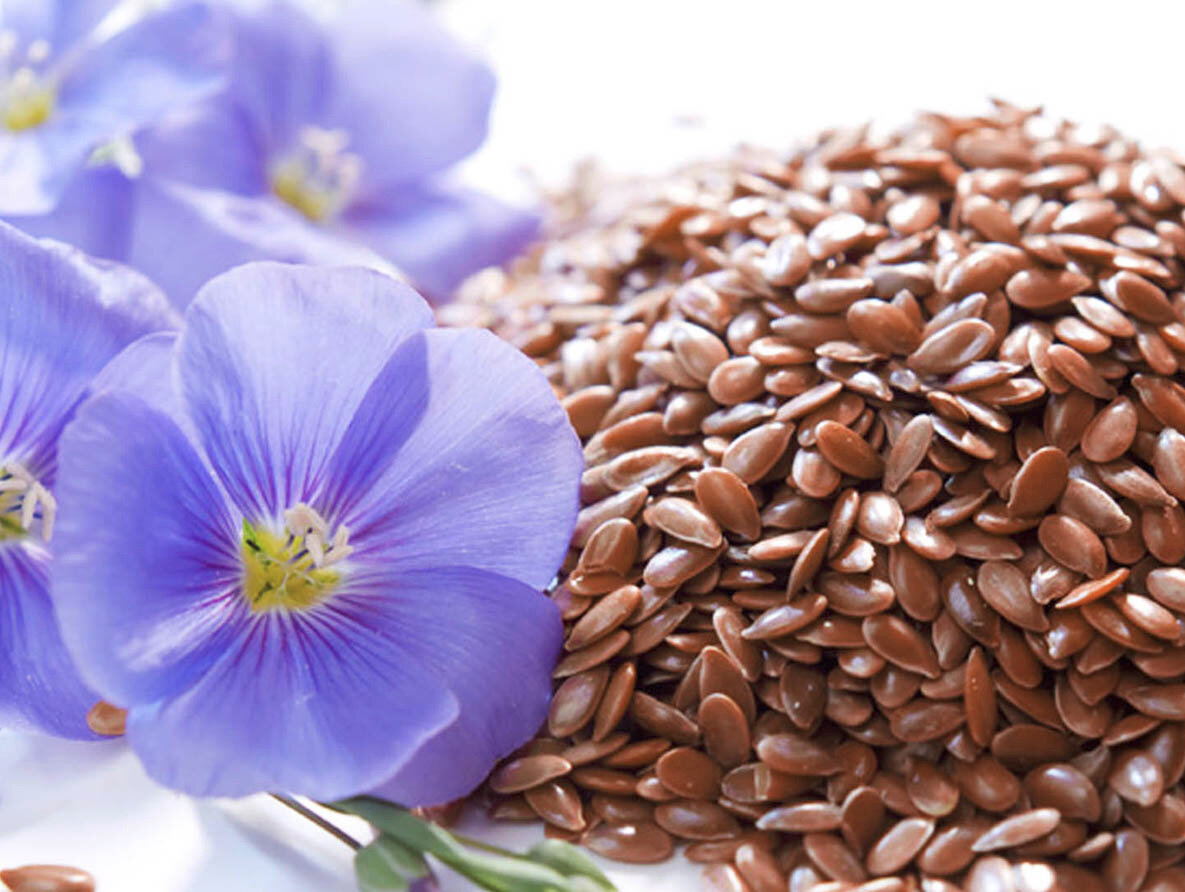 Молодильные семена. 7 полезных свойств семян укропа