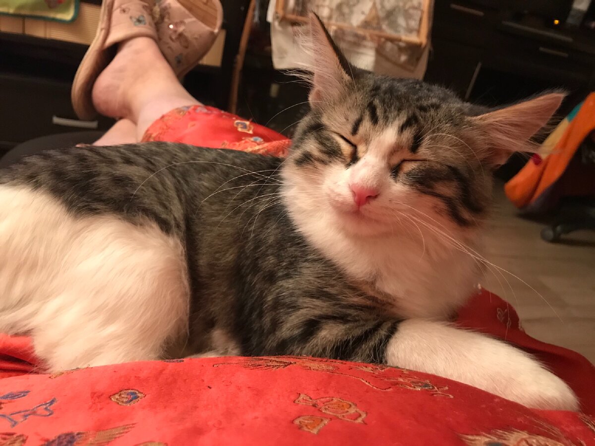 Сэм(из личного архива)