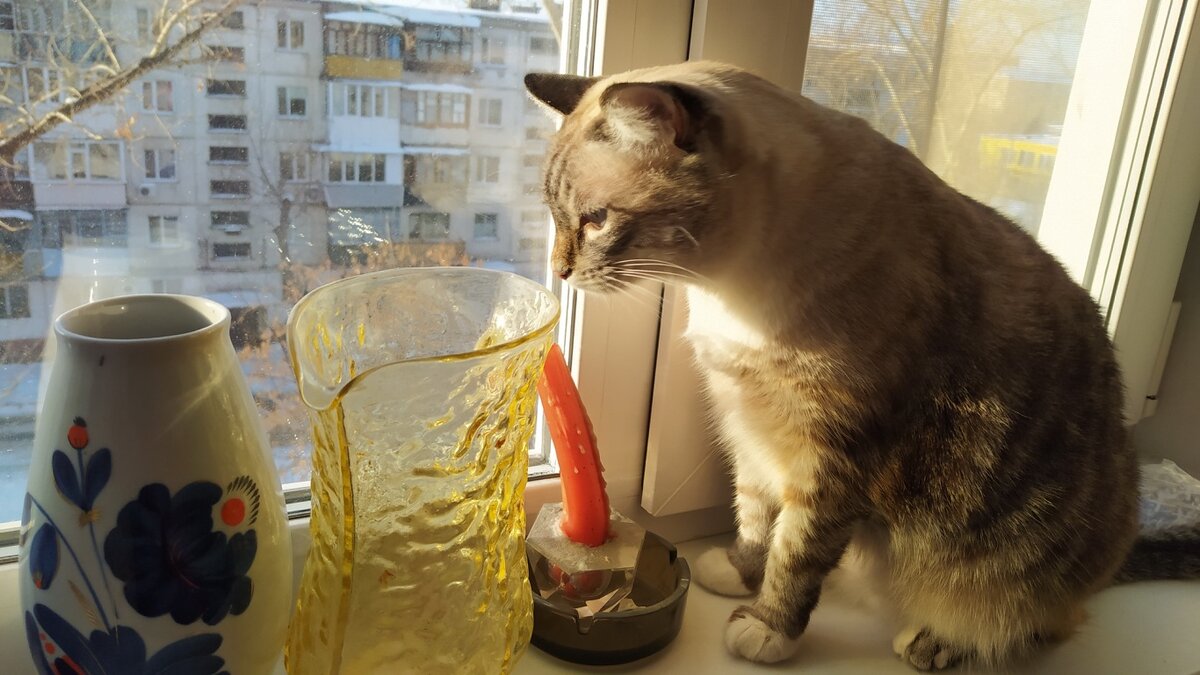 - О, ваза! Может она волшебная? А то меня три желания свербят!
