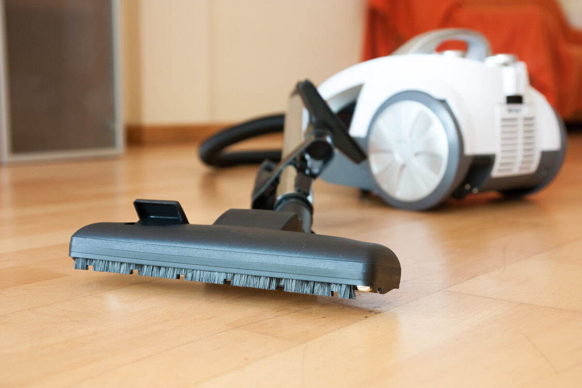 Фото взято из открытого источника