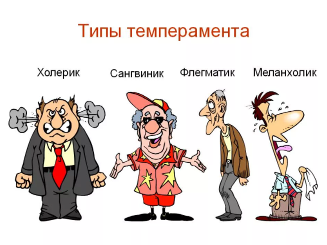 Источник: Я.Картинки