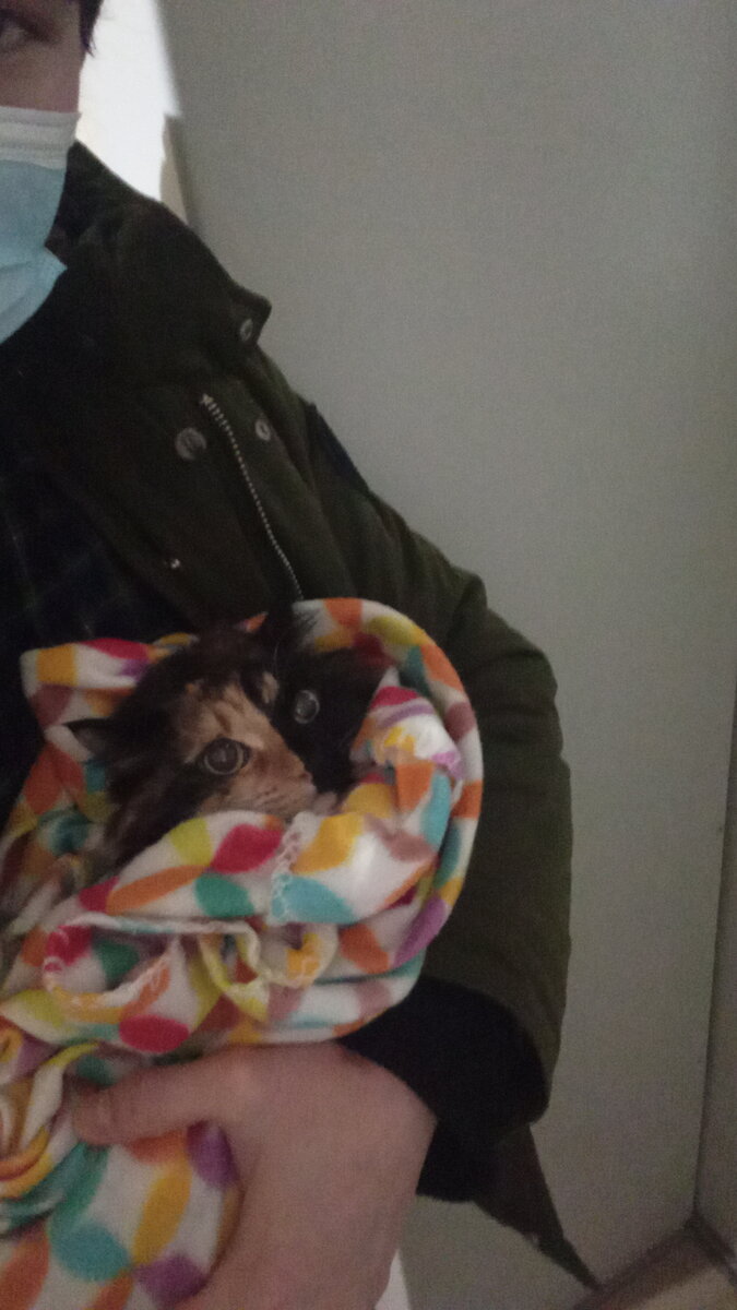 Как же вы меня достали, людишки!