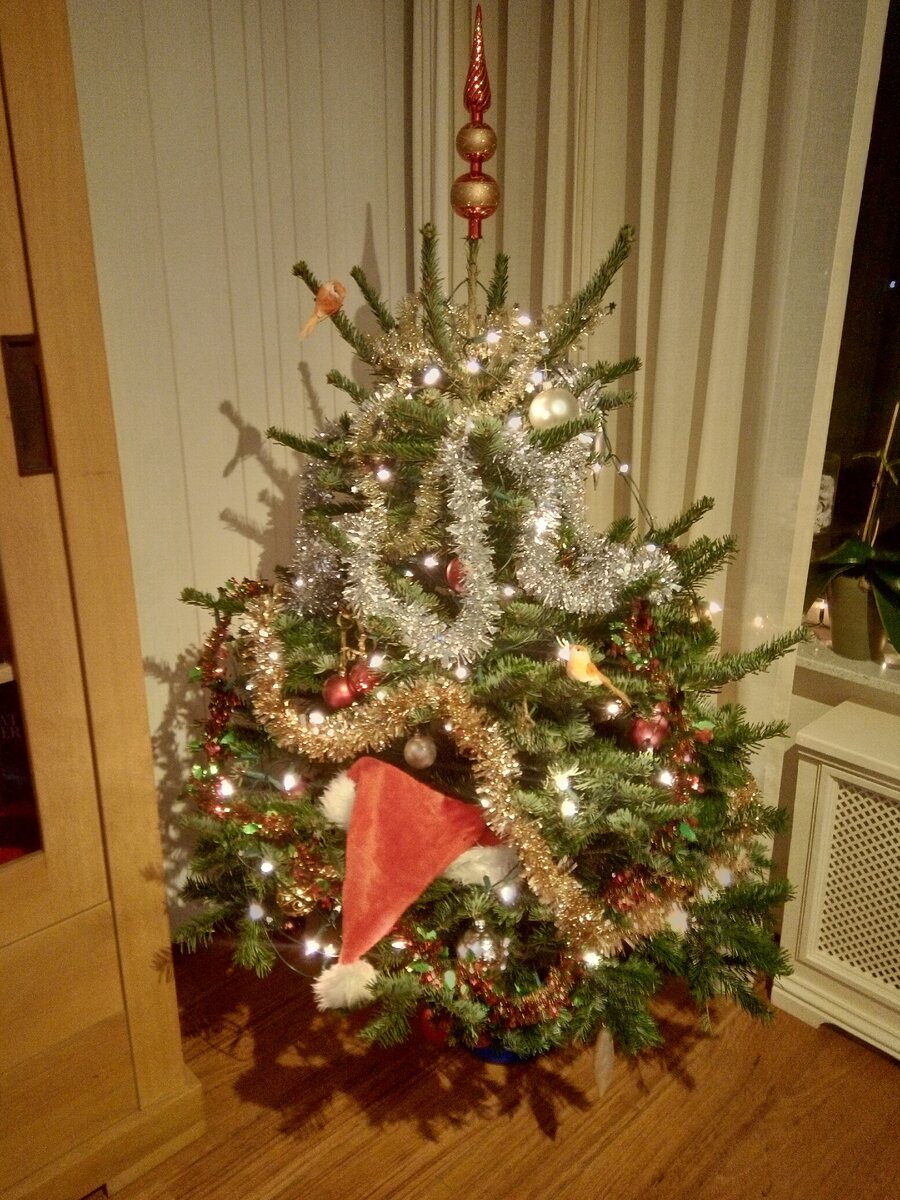 8 марта какие страны празднуют