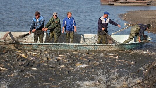 Франшиза малого бизнесаФраншиза с окупаемостью 12 месяцев. Зарабатывай на франшизе от 825 000 р. в месяцПОДРОБНЕЕGIFRANCHISE.RU₽Разведение рыбы профессияДистанционно! Профессиональная переподготовка по рыбоводству за 3 мес. и 10 000 руб.ПОДРОБНЕЕРЫБОВОДСТВО.ПРОФЕССИОНАЛЬНЫЙ-СТАНДАРТ.РФ
