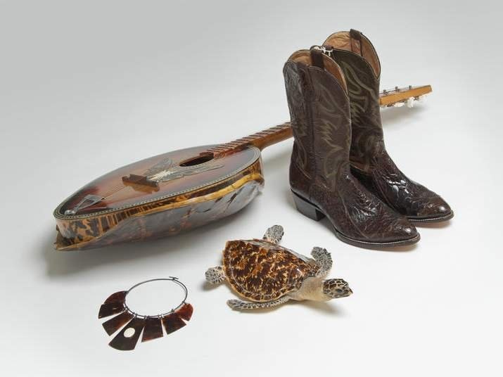  Товары, изготовленные из черепах являются незаконными.