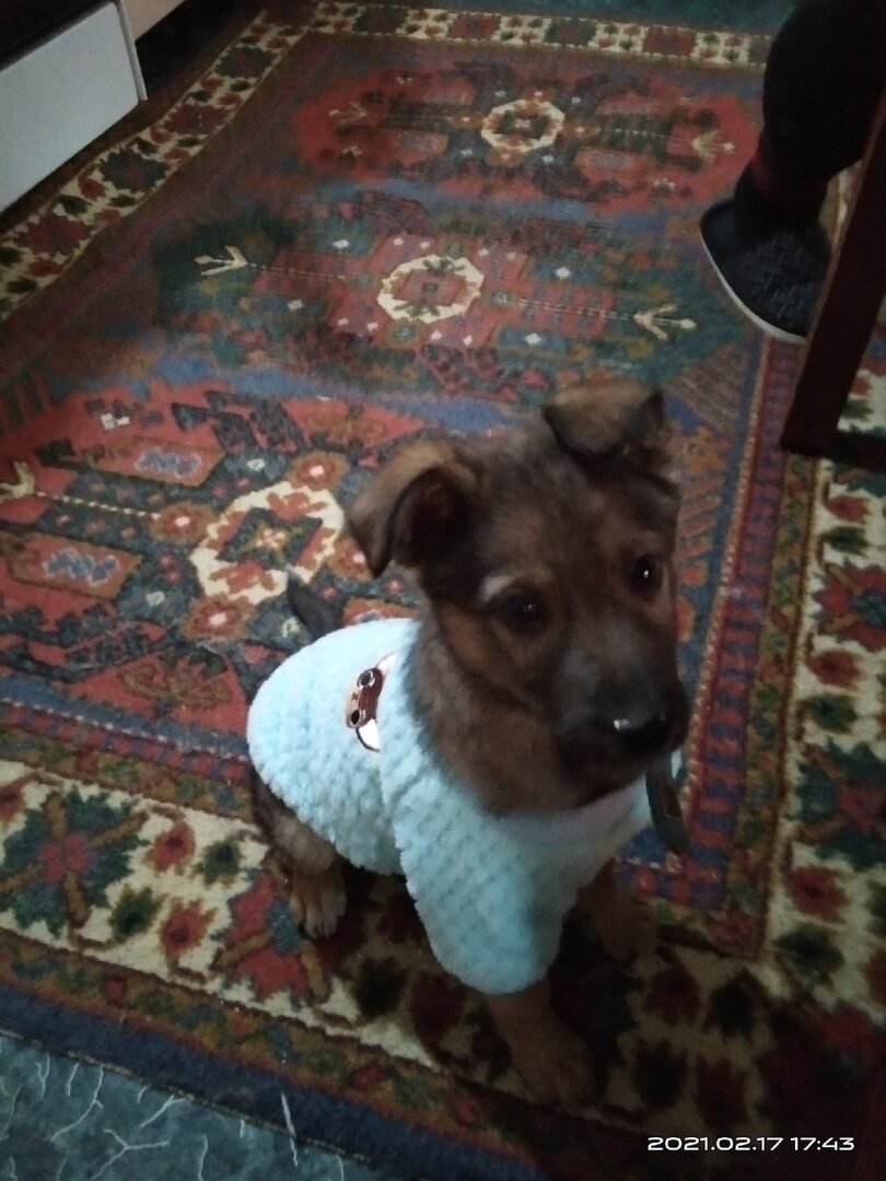 Оливия на передержке