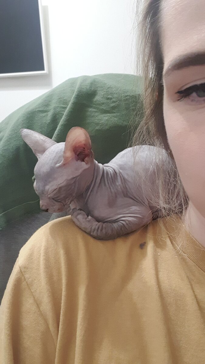 Вот так мы засыпаем, когда замерзли