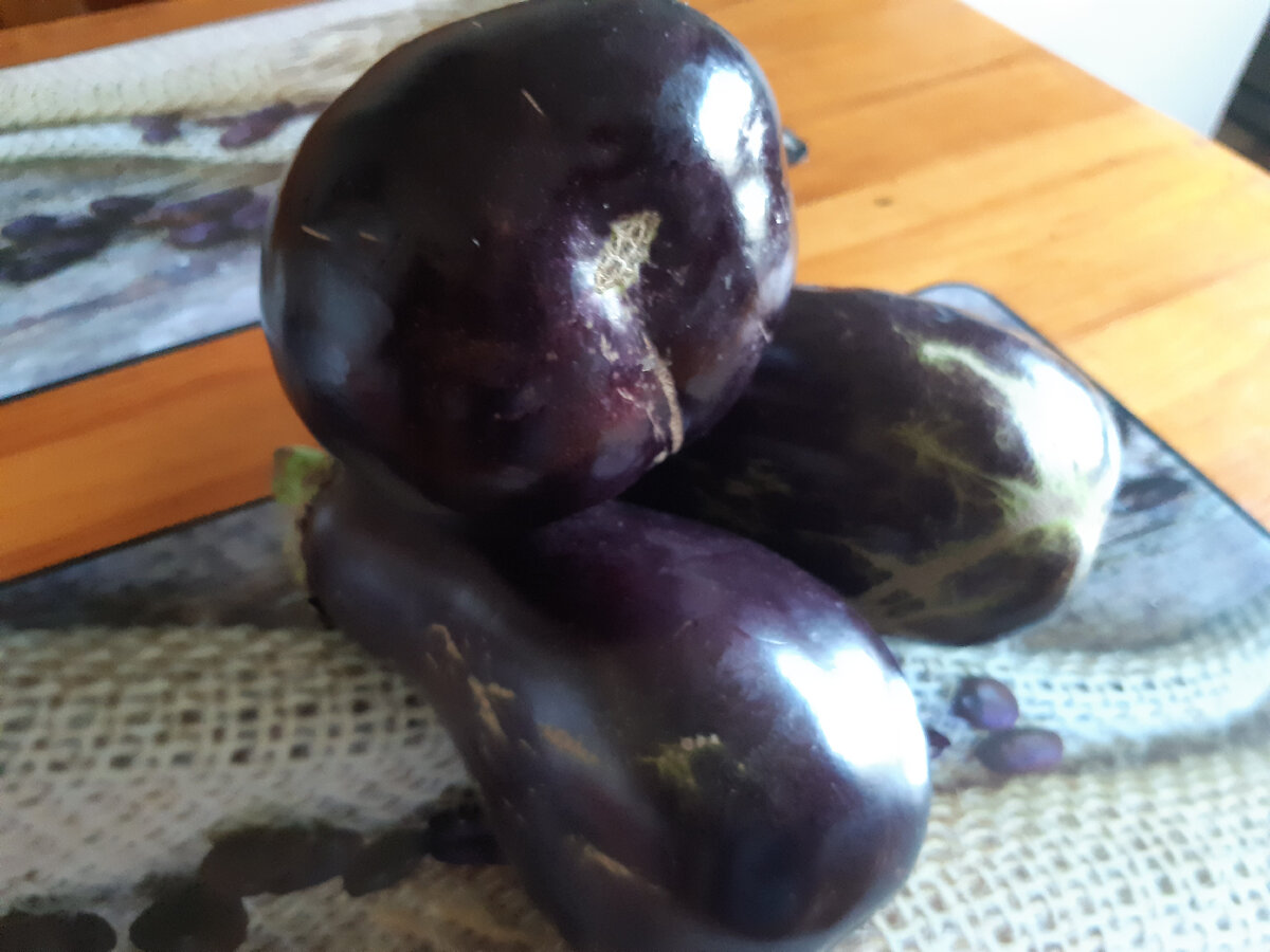 Баклажаны для запекания(фото автора)