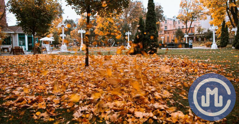 Сад Эрмитаж. Фото: "Москва.ру"/Мария Добрыгина