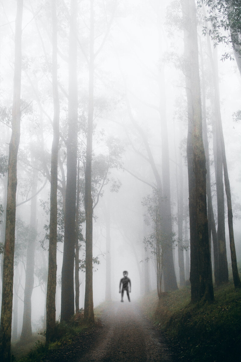 Никогда не знаешь, что ждёт тебя в тумане