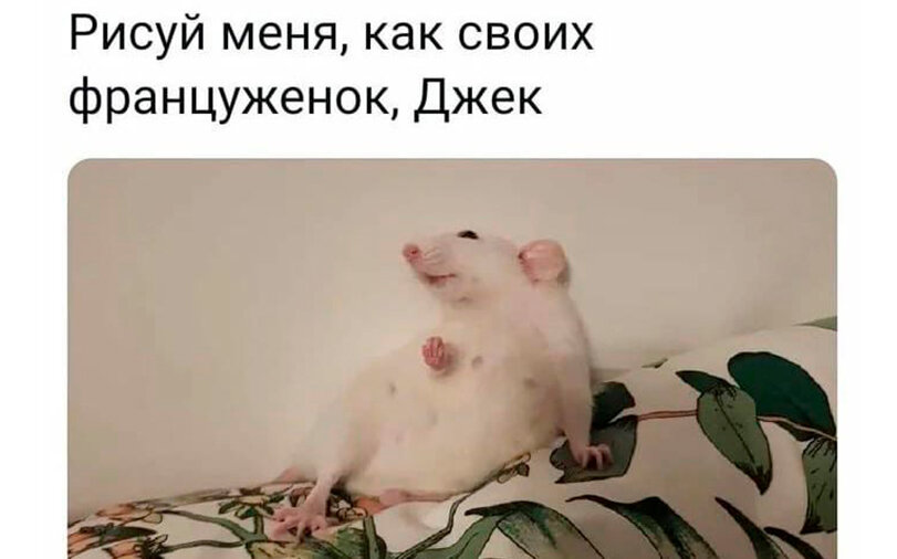 Удивительная PAWG Кристи Мак получает анальный секс от Брика Дэнджера.