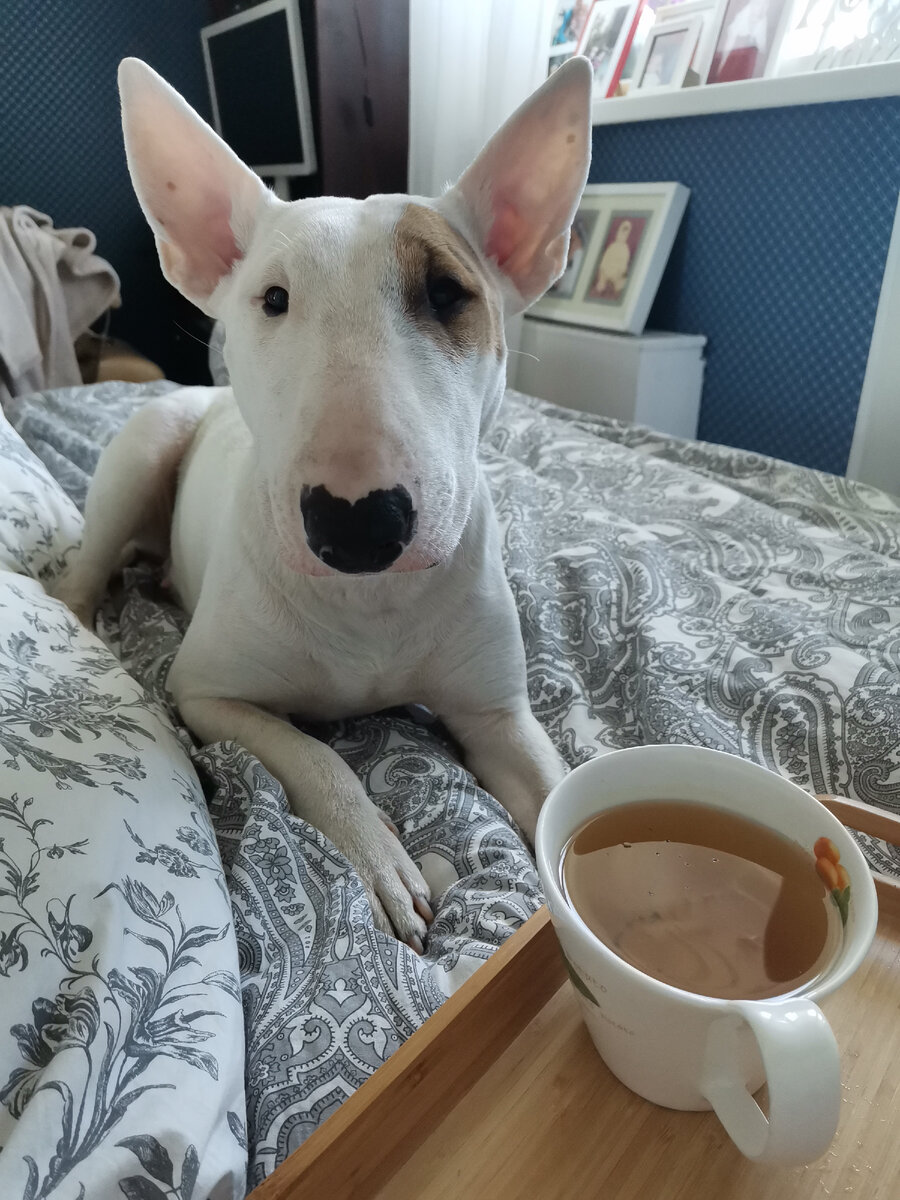 Фото из личного архива 