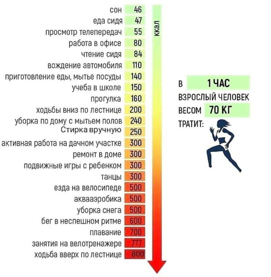 У кого на Земле самый большой коэффициент полезного действия и как его  можно повысить | Математика и физика с Вестой | Дзен