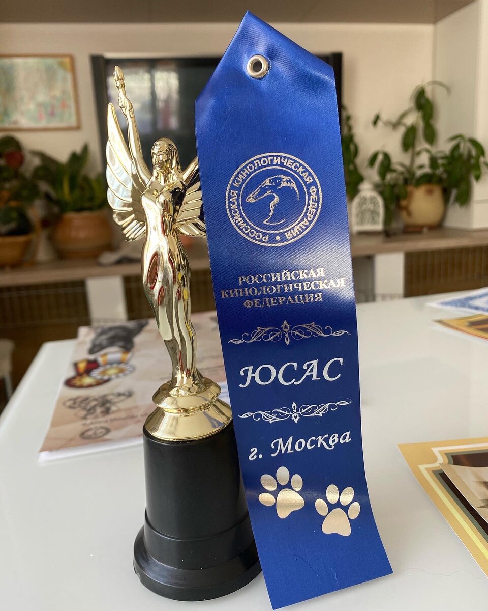 Юный чемпион. 