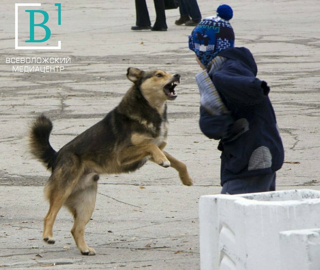для иллюстрации