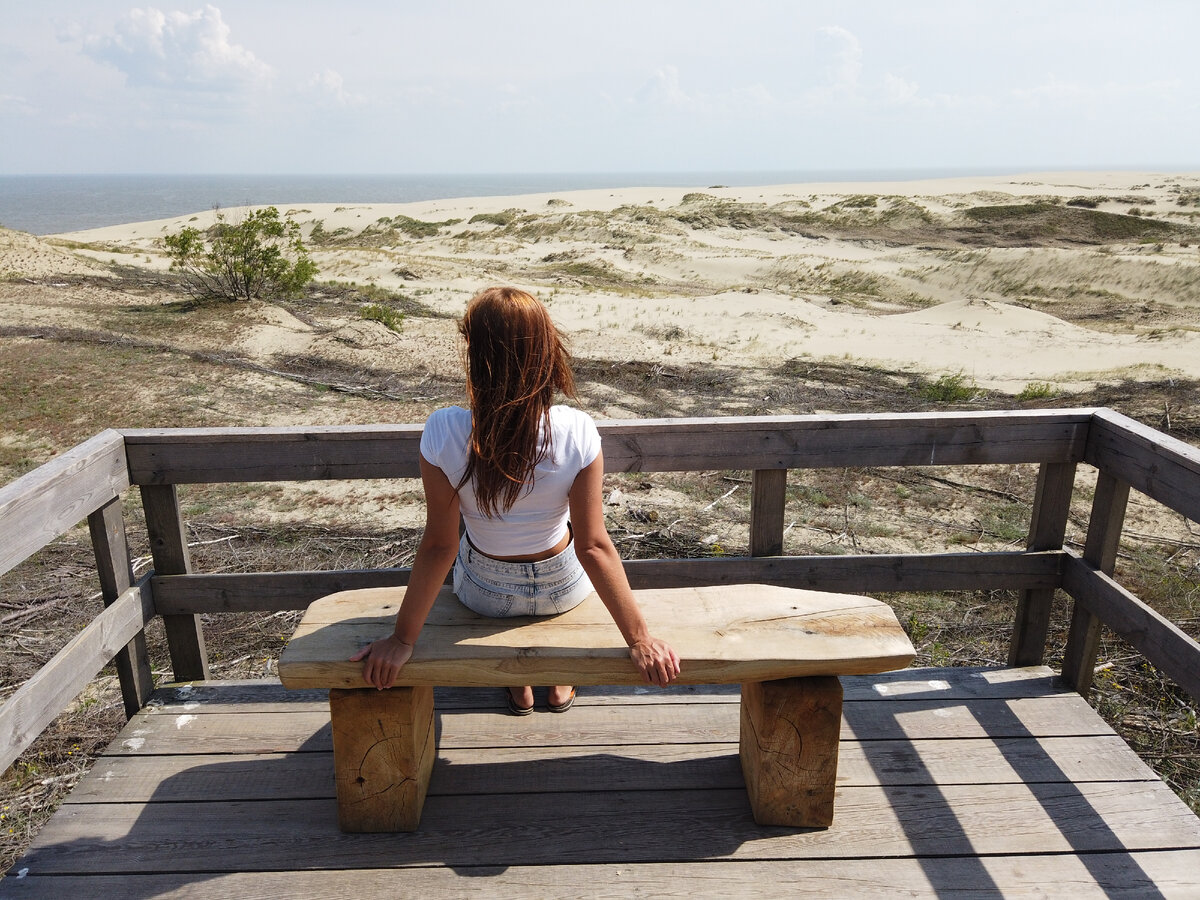 Что из себя представляет национальный парк Куршская коса | Интересные ...