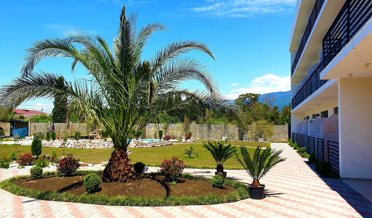 алахадзы абхазия. отель оазис алахадзы. отель оазис абхазия. Club oasis 4. отель оазис абхазия алахадзы.