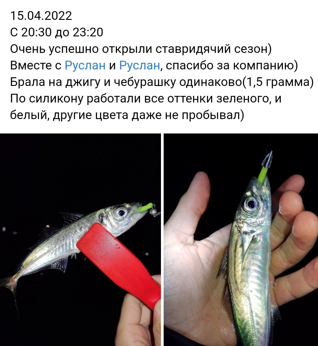 Из группы моего магазина