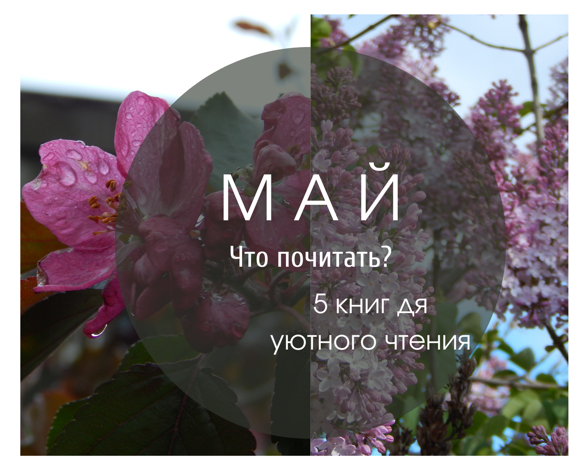 Что почитать в мае? 5 книг для уютного чтения | МОНОлит | Дзен