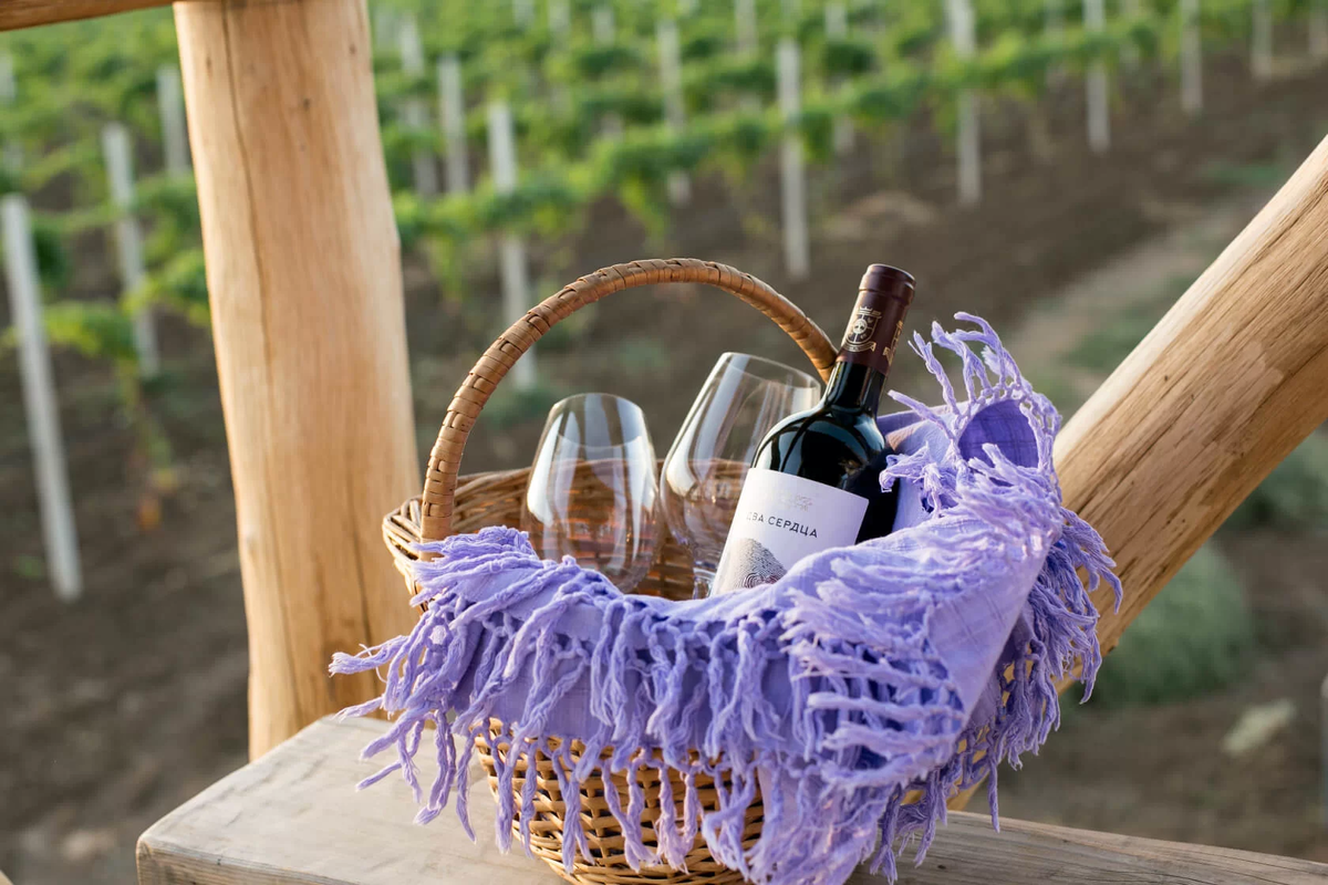 Два сердца — про любовь к своему делу, жизни и друг к другу, фото взяли с официального сайта