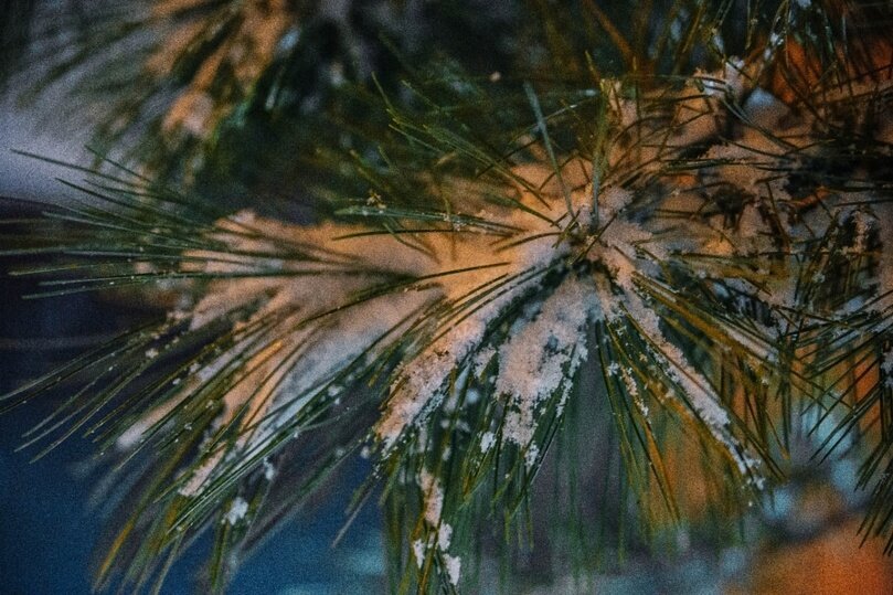     Куда сходить в Хабаровске на новогодние праздники и где отметить Новый год 2023 / Ольга Григорьева