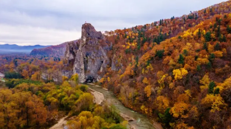 Скала В.К. Арсеньева