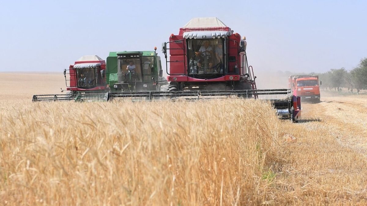    Фото: Пресс-служба акима Туркестанской области. Август Макаров