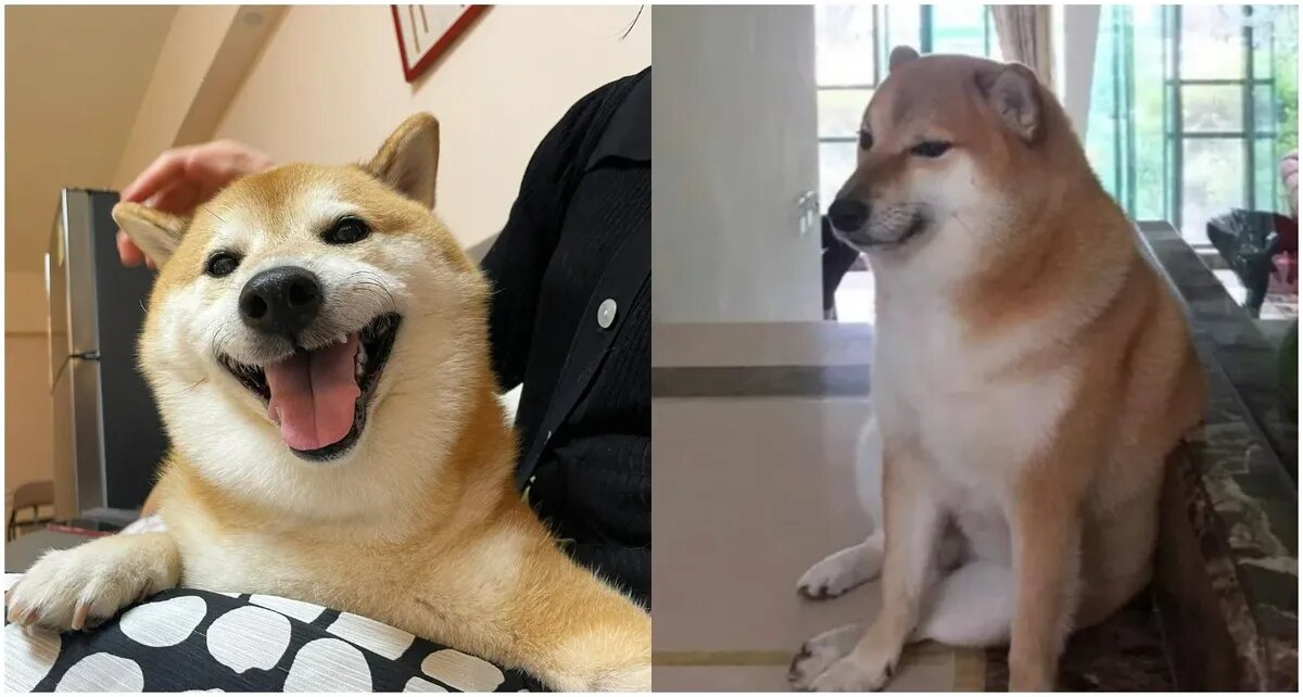 Фото: Telegram-канал @pdmnews